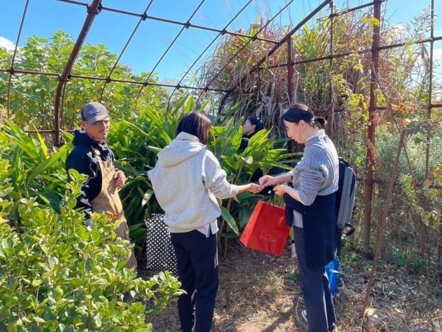 Lemon Tree Megijima